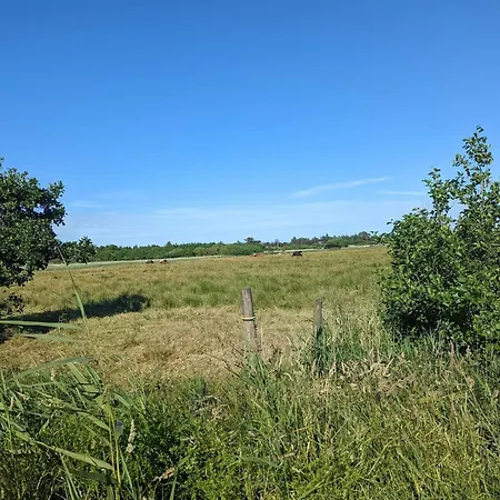 4 Person In Blåvand