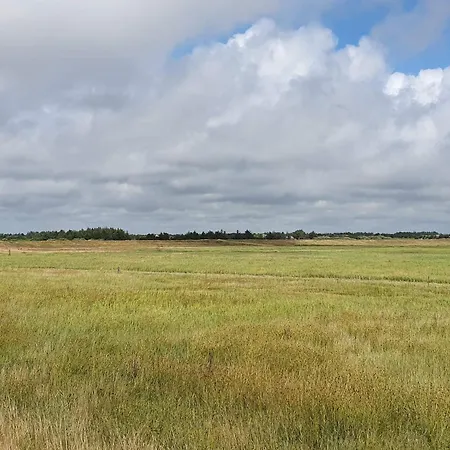 Prázdninový dům 4 Person In Blåvand