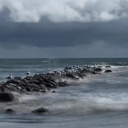 Prázdninový dům 4 Person In Blåvand