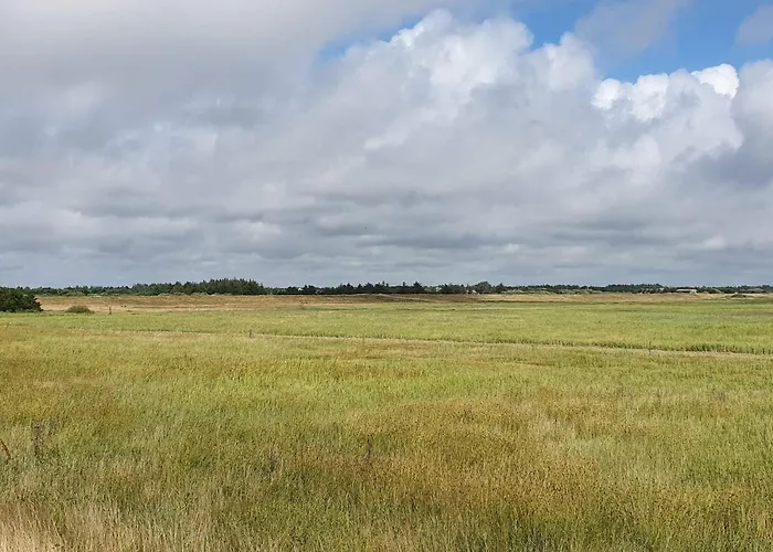 Σπίτι διακοπών 4 Person In Blåvand
